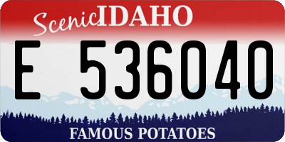 ID license plate E536040