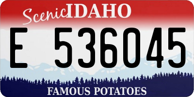 ID license plate E536045