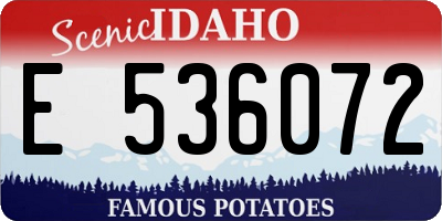 ID license plate E536072