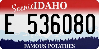 ID license plate E536080