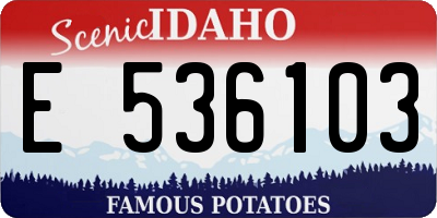 ID license plate E536103