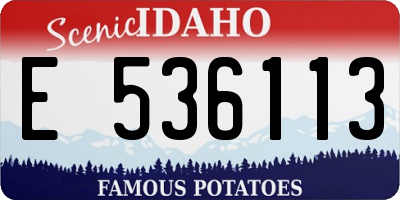 ID license plate E536113