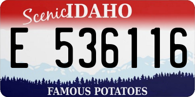 ID license plate E536116