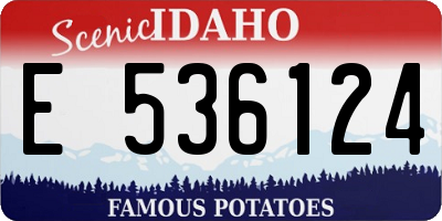 ID license plate E536124