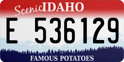 ID license plate E536129