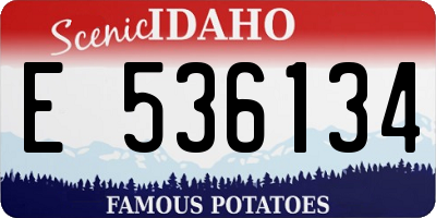 ID license plate E536134