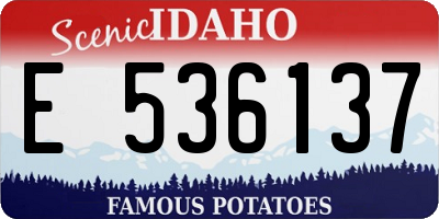 ID license plate E536137