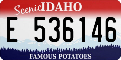 ID license plate E536146