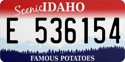 ID license plate E536154