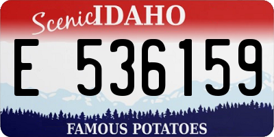 ID license plate E536159