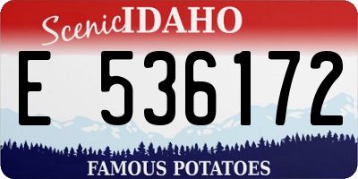 ID license plate E536172