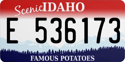ID license plate E536173