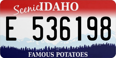 ID license plate E536198