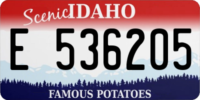ID license plate E536205