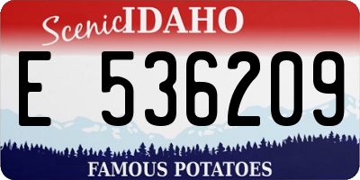 ID license plate E536209