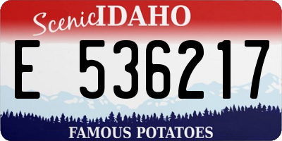 ID license plate E536217
