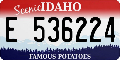 ID license plate E536224