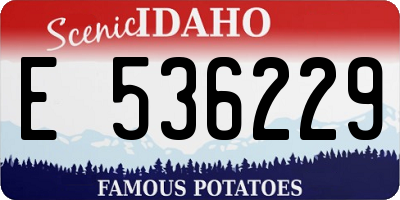 ID license plate E536229