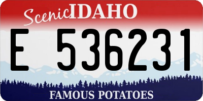 ID license plate E536231