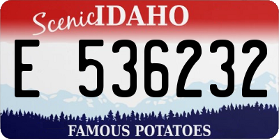 ID license plate E536232