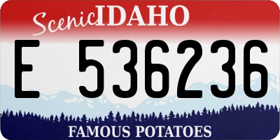 ID license plate E536236