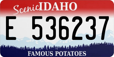 ID license plate E536237