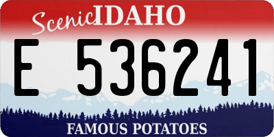 ID license plate E536241