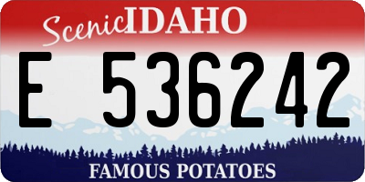 ID license plate E536242