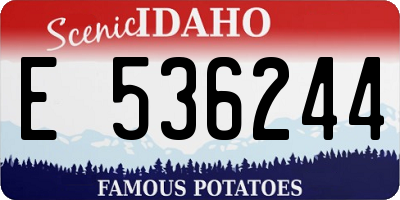 ID license plate E536244