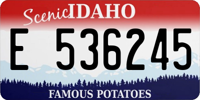ID license plate E536245