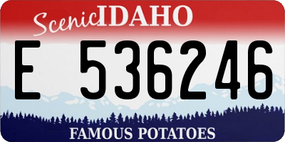 ID license plate E536246
