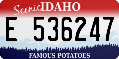 ID license plate E536247