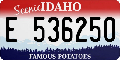 ID license plate E536250