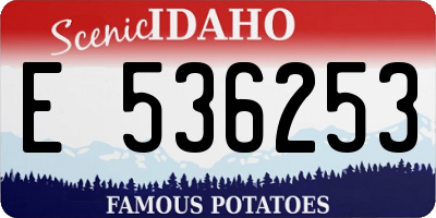 ID license plate E536253