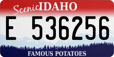 ID license plate E536256