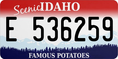 ID license plate E536259