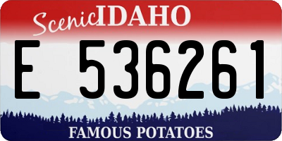 ID license plate E536261