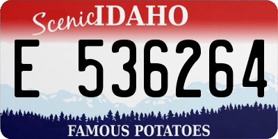 ID license plate E536264