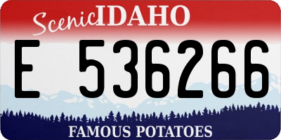 ID license plate E536266