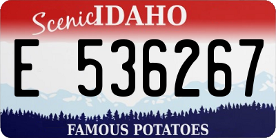 ID license plate E536267
