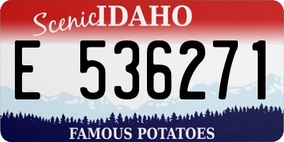 ID license plate E536271