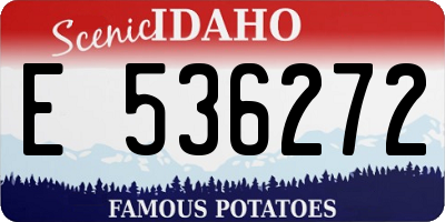 ID license plate E536272