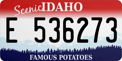 ID license plate E536273