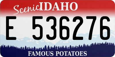 ID license plate E536276