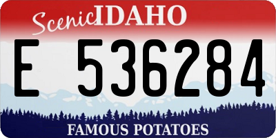 ID license plate E536284