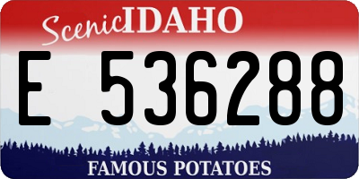 ID license plate E536288