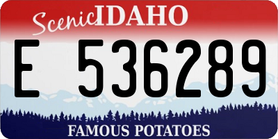 ID license plate E536289