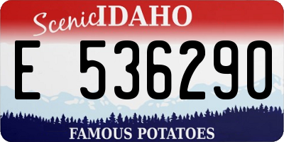 ID license plate E536290