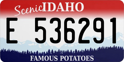 ID license plate E536291