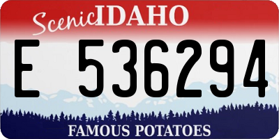 ID license plate E536294